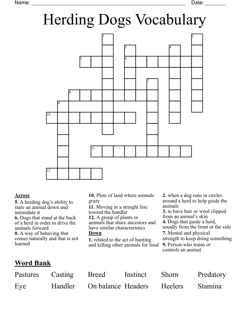 Herding Dogs Vocabulary Crossword