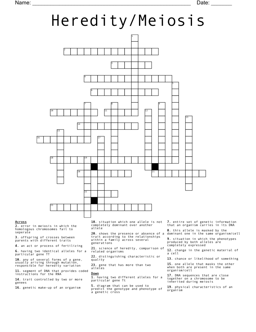Heredity/Meiosis Crossword