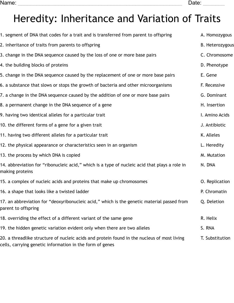 Heredity:  Inheritance and Variation of Traits Worksheet