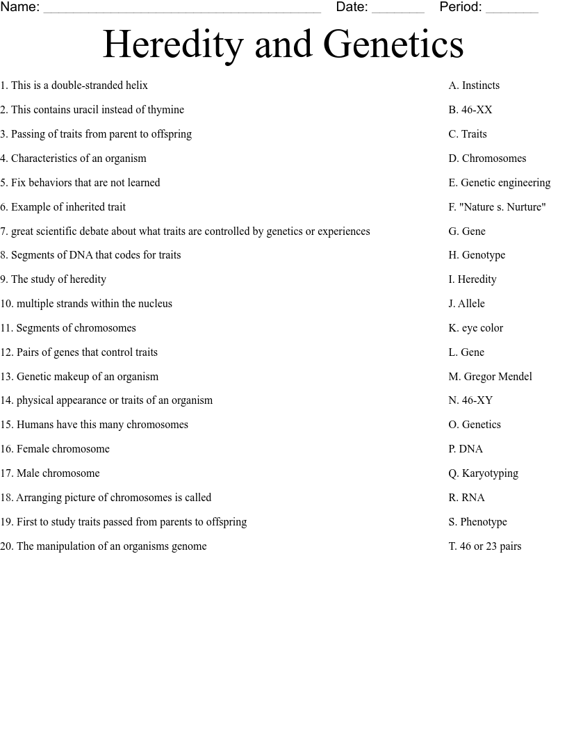 Heredity and Genetics Worksheet