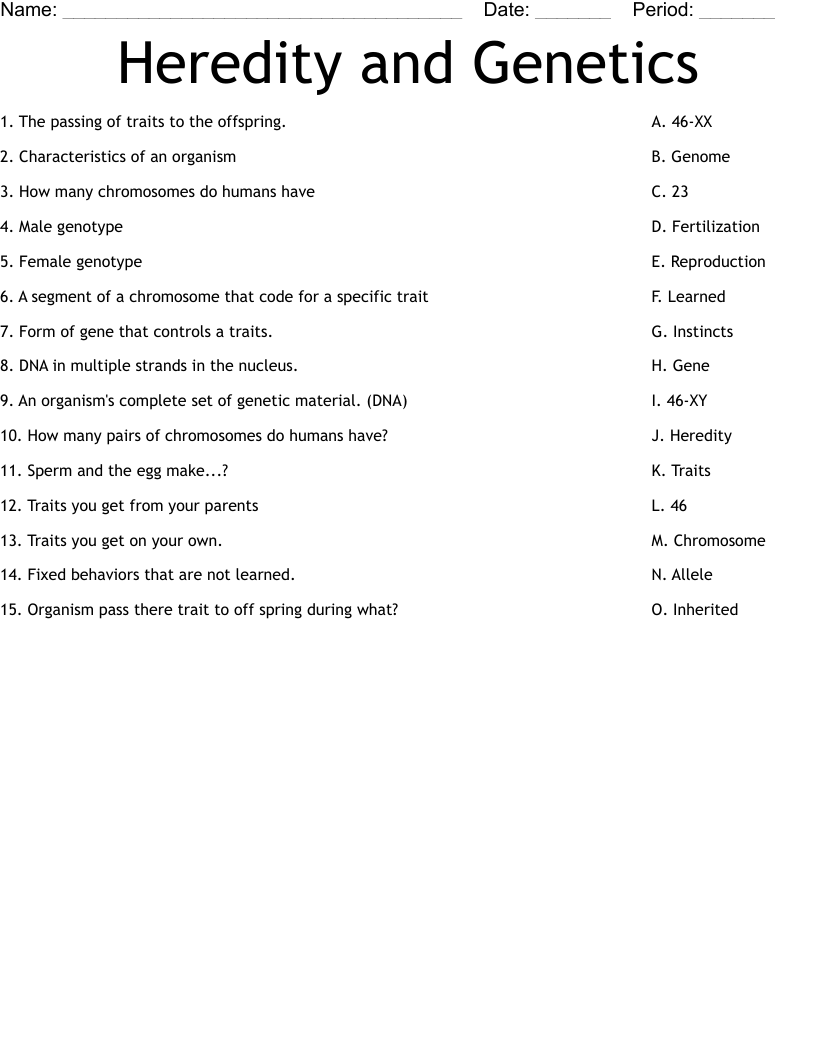 Heredity and Genetics Worksheet