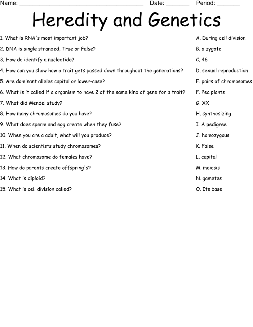 Heredity and Genetics Worksheet
