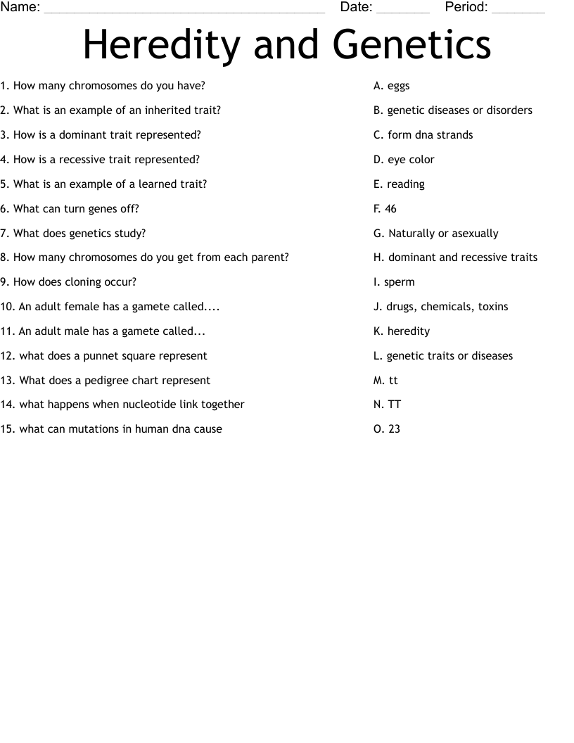 Heredity and Genetics Worksheet