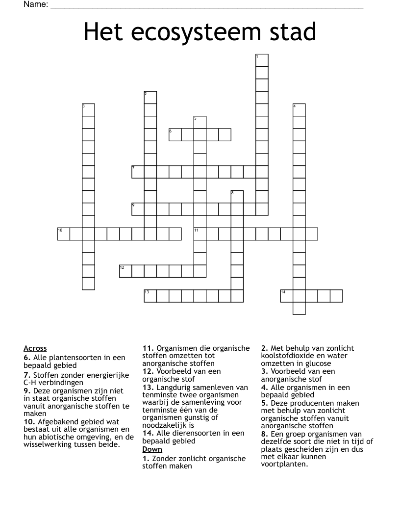 Het ecosysteem stad Crossword