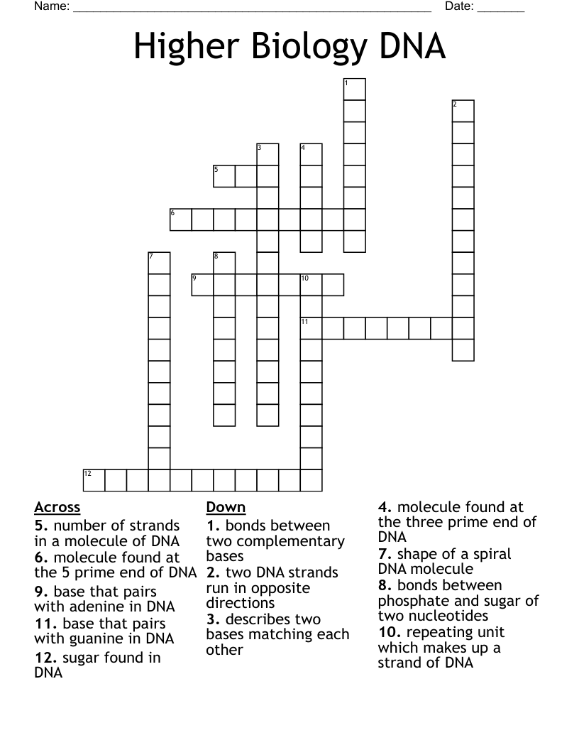 Higher Biology DNA  Crossword