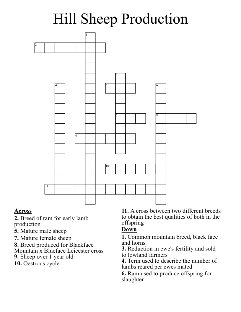Hill Sheep Production Crossword