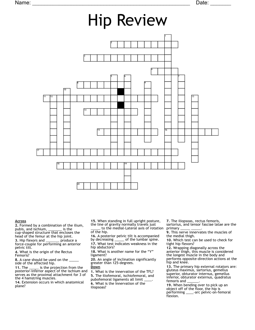 Hip Review  Crossword