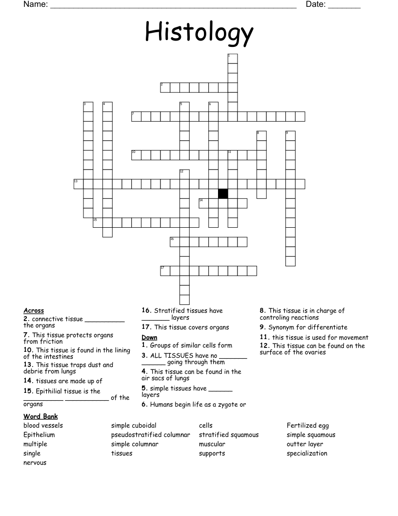Histology Crossword