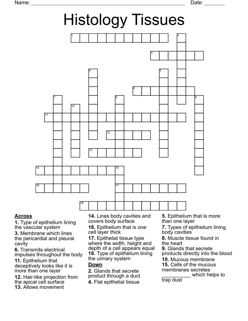Histology Tissues Crossword