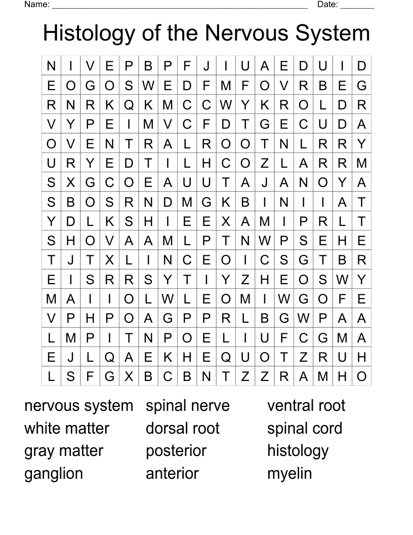 Histology of the Nervous System Word Search