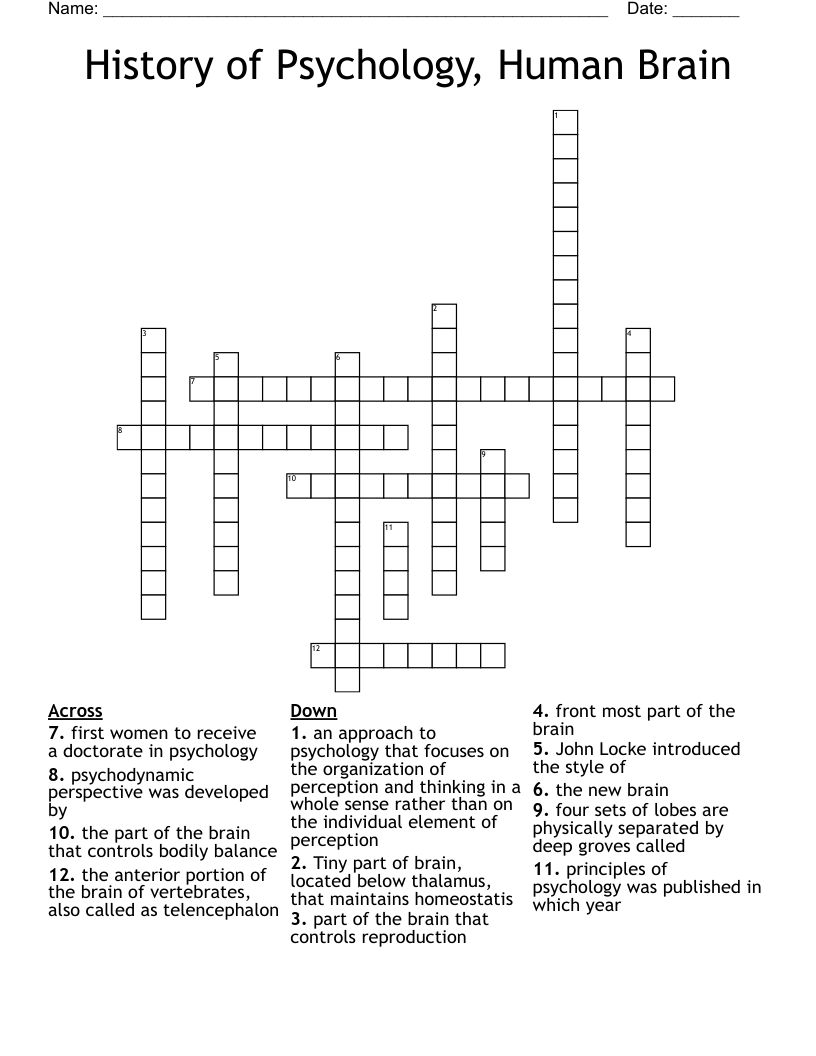 History of Psychology, Human Brain Crossword