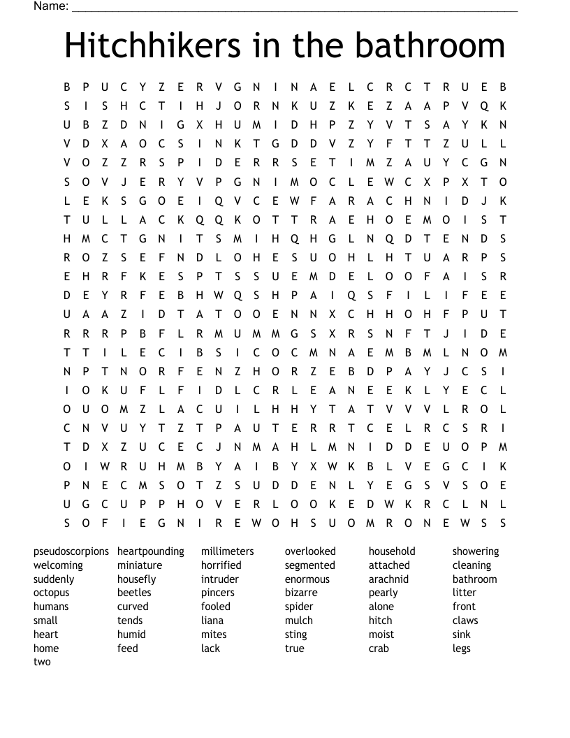 Hitchhikers in the bathroom  Word Search