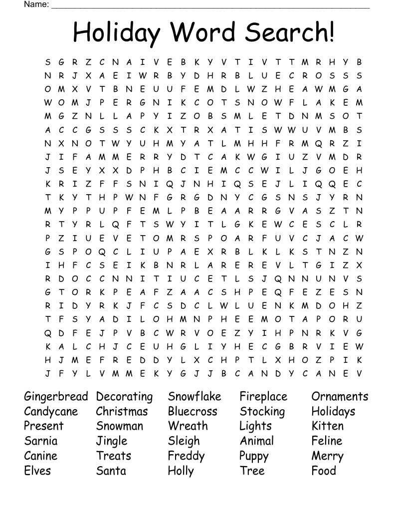 Holiday Word Search!