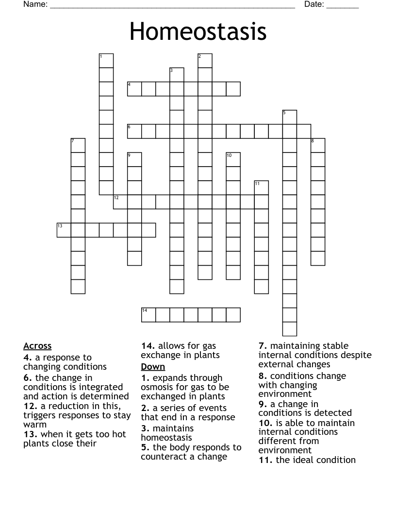 Homeostasis Crossword