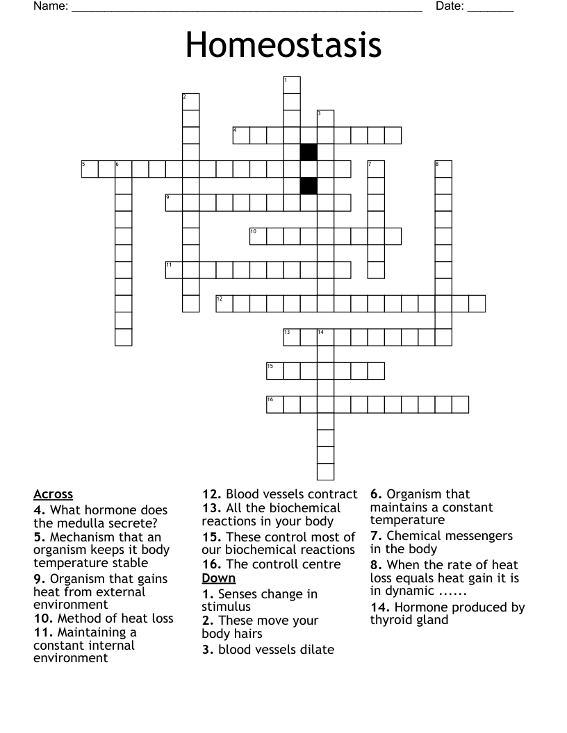 Homeostasis Crossword