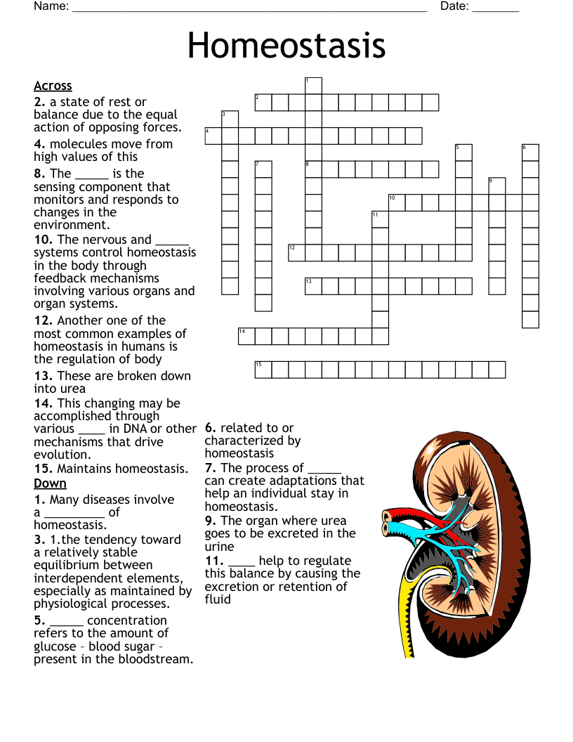 Homeostasis Crossword