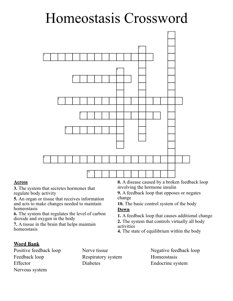 Homeostasis Crossword