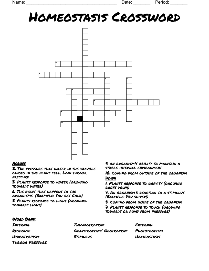 Homeostasis Crossword