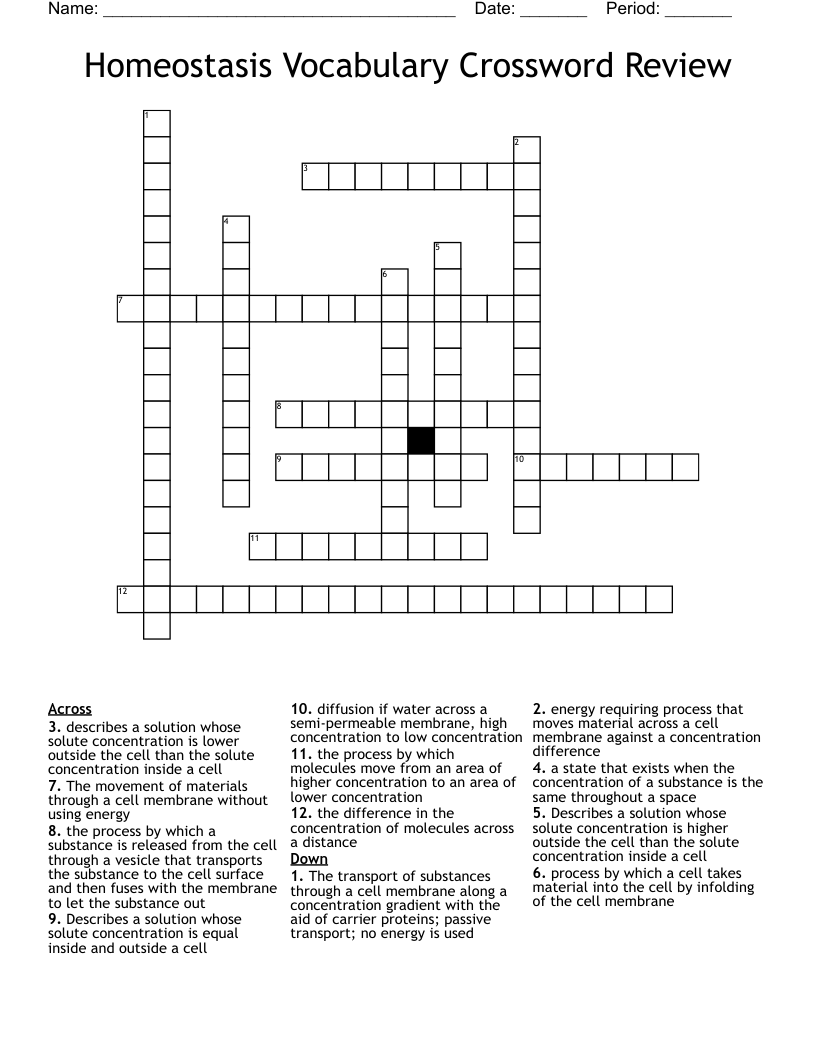 Homeostasis Vocabulary Crossword Review