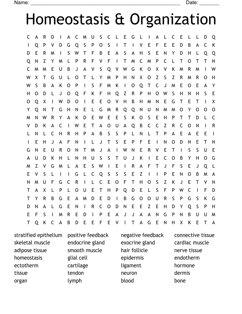Homeostasis & Organization Word Search