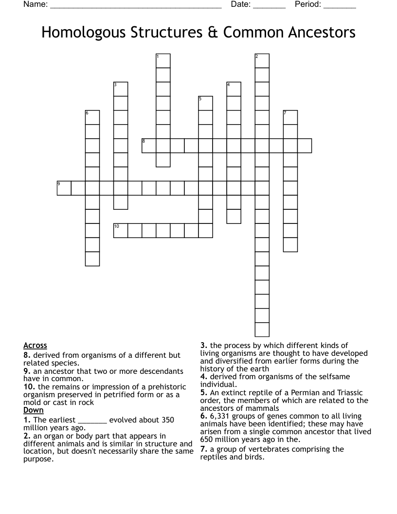 Homologous Structures & Common Ancestors Crossword