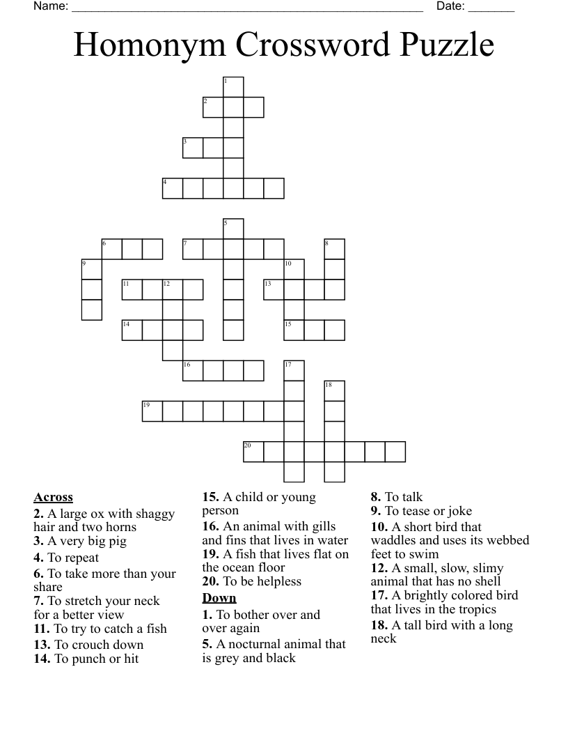 Homonym Crossword Puzzle