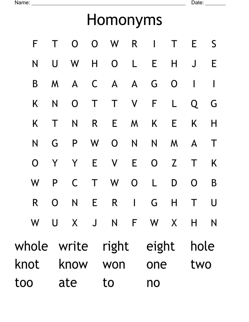 Homonyms Word Search