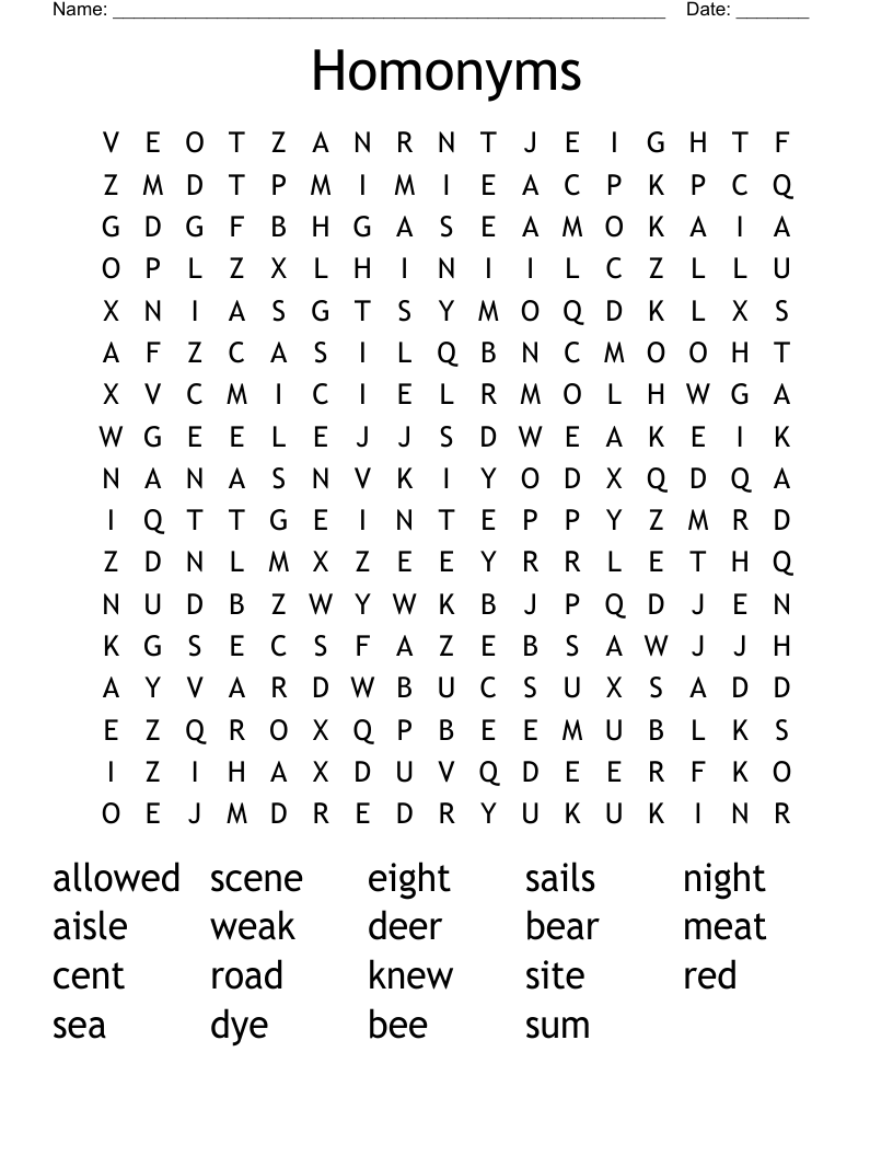 Homonyms Word Search