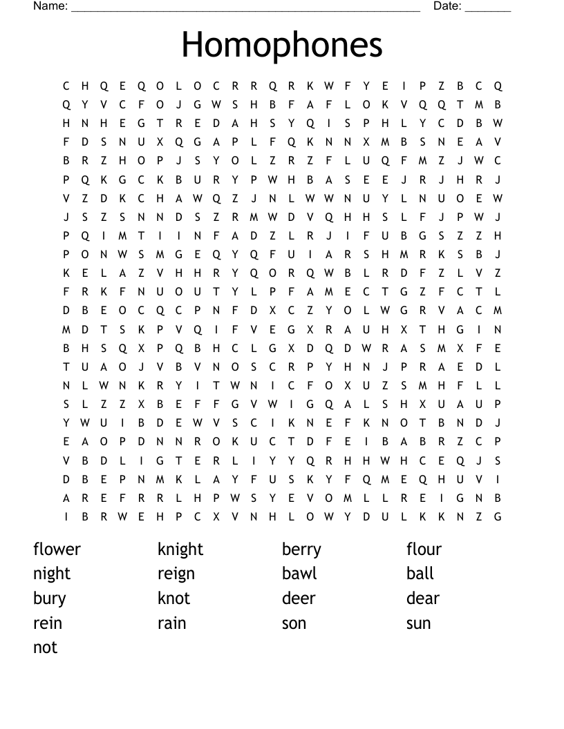 Homophones Word Search