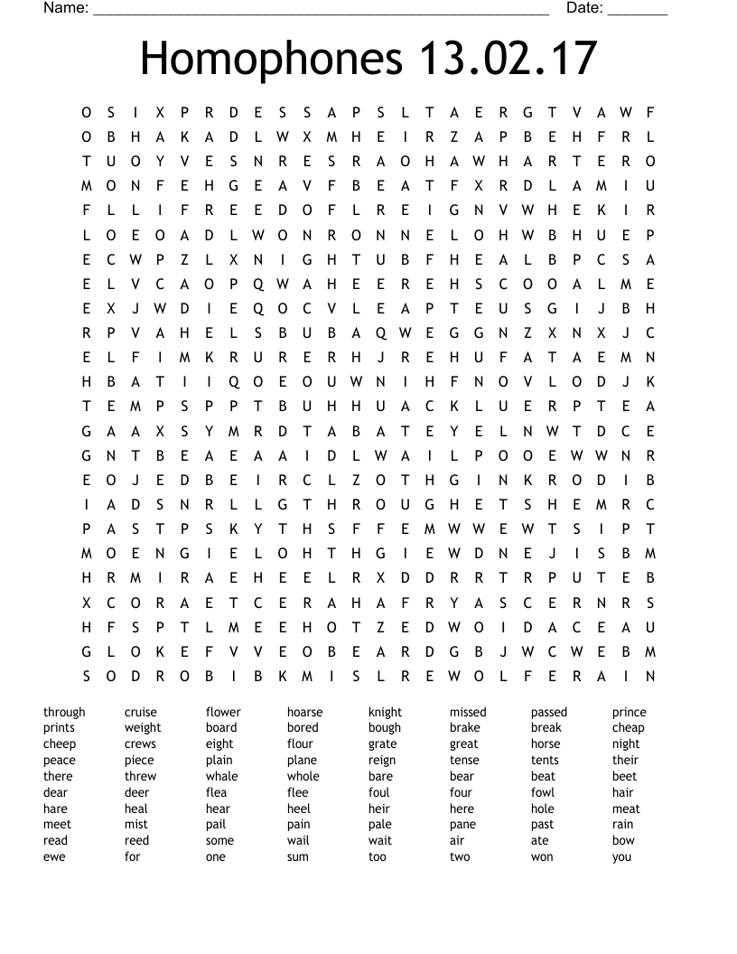 Homophones 13.02.17 Word Search