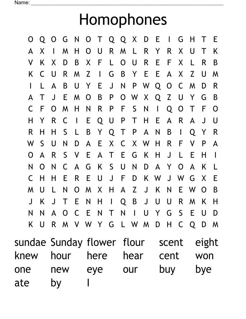 Homophones Word Search