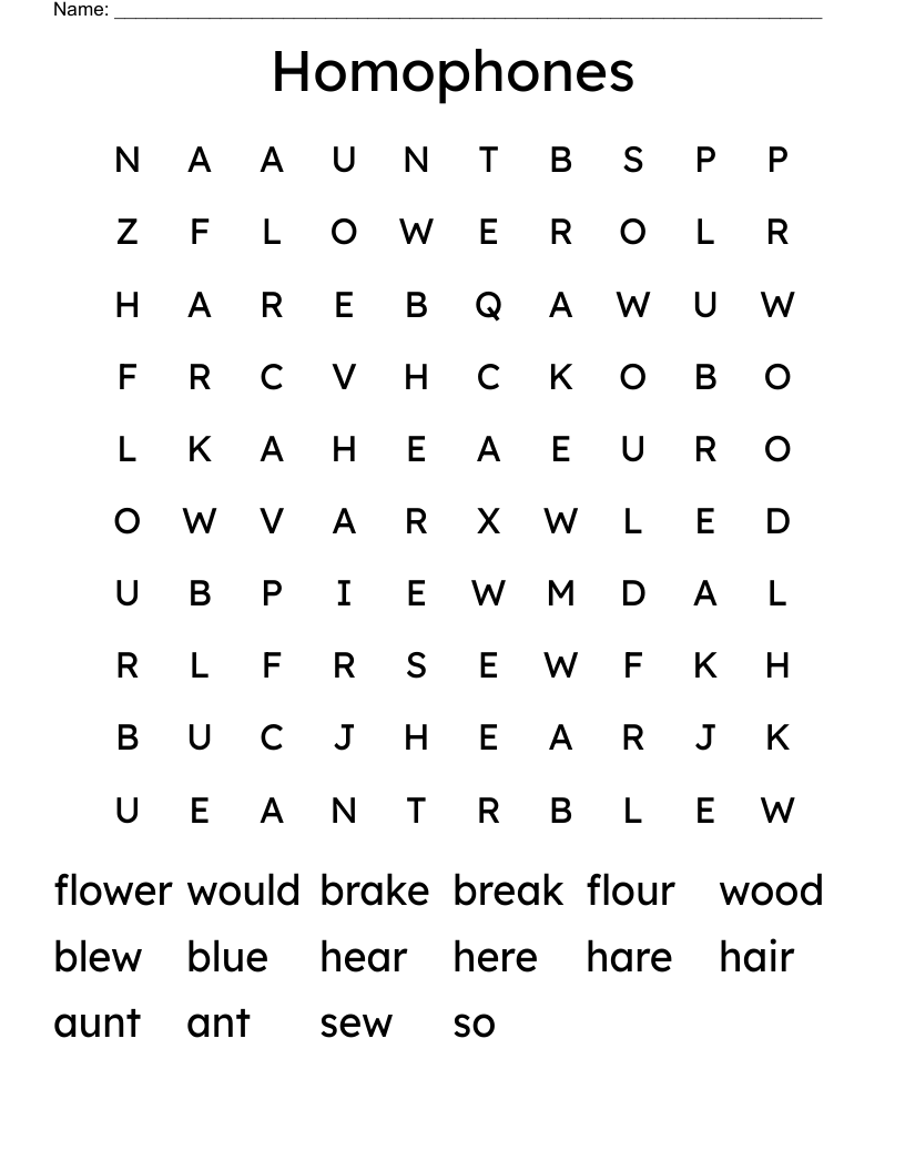 Homophones Word Search