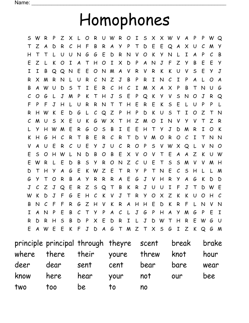 Homophones Word Search
