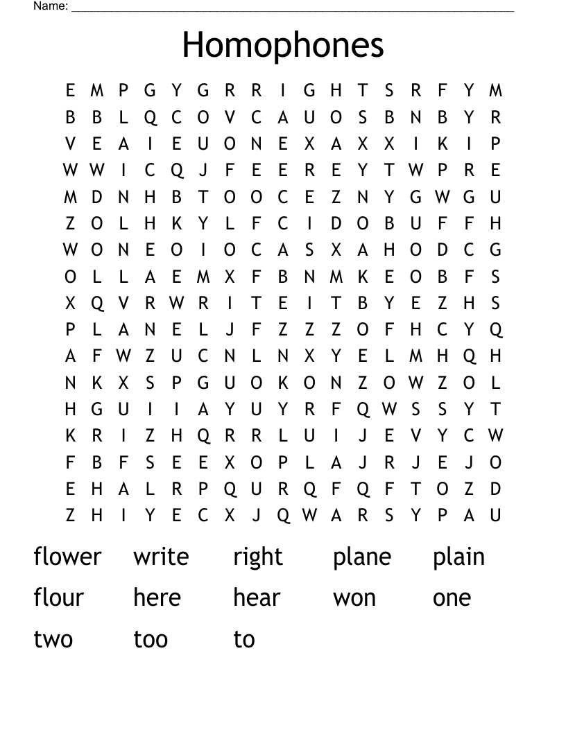 Homophones Word Search