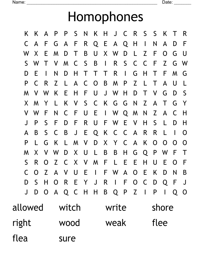 Homophones Word Search