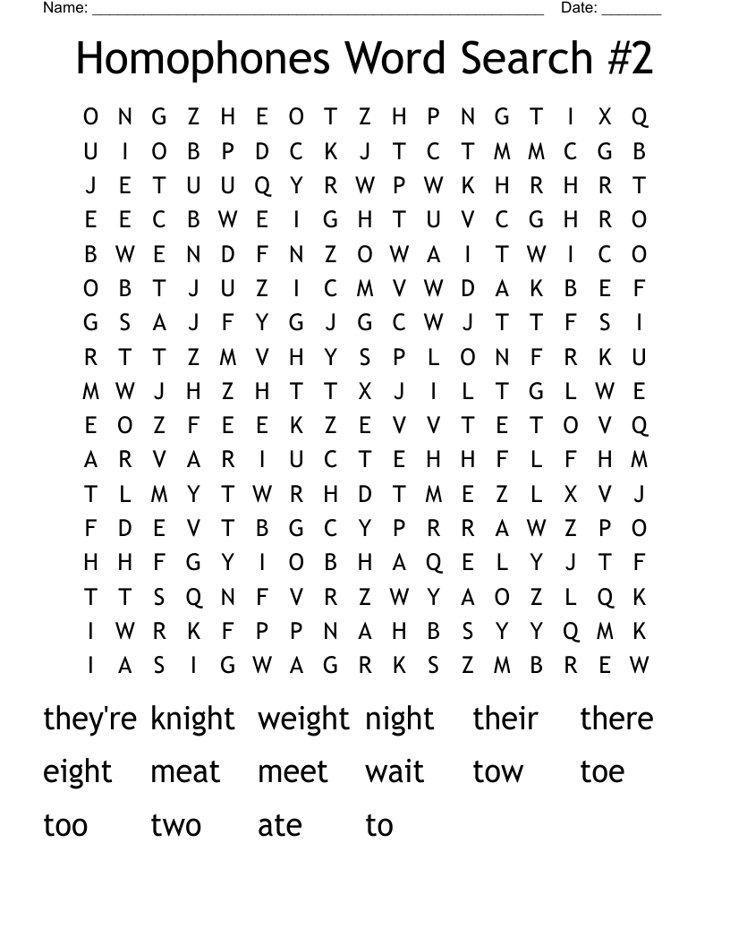 Homophones Word Search #2