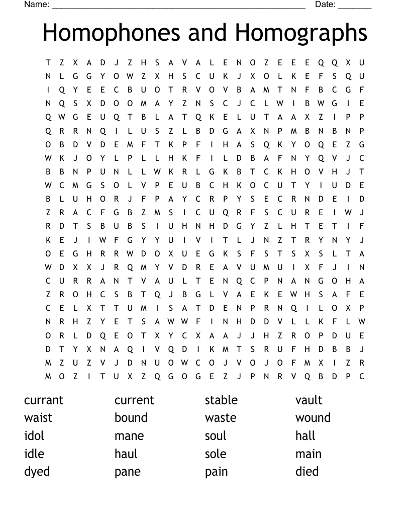 Homophones and Homographs Word Search