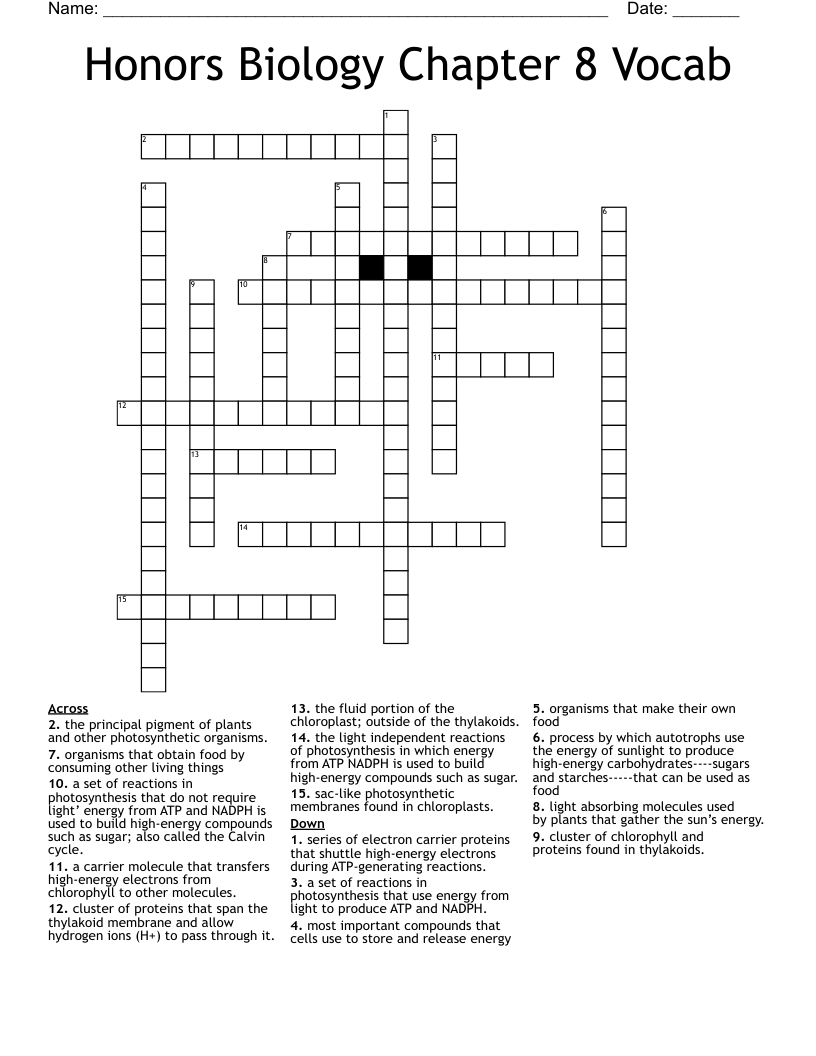 Honors Biology Chapter 8 Vocab Crossword