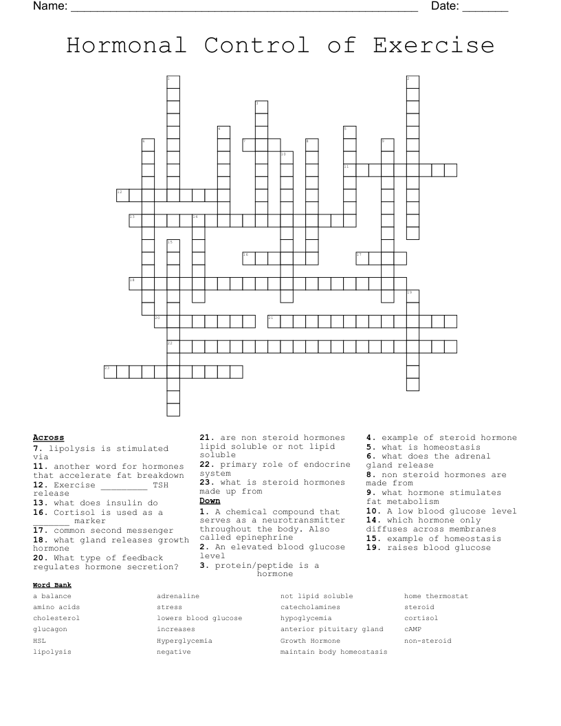 Hormonal Control of Exercise  Crossword
