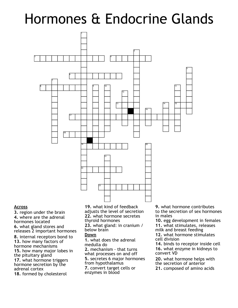 Hormones & Endocrine Glands Crossword