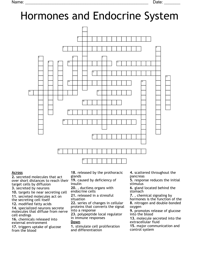 Hormones and Endocrine System Crossword