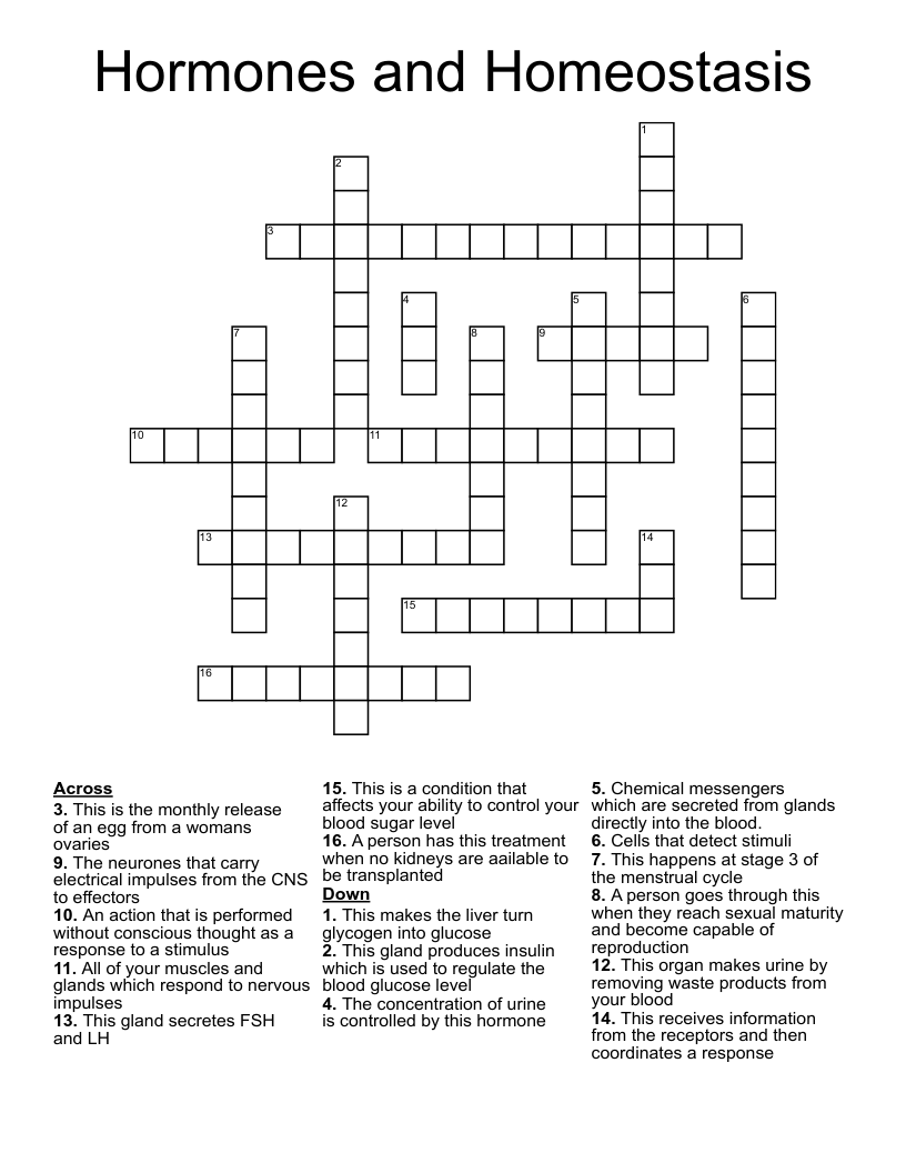 Hormones and Homeostasis Crossword