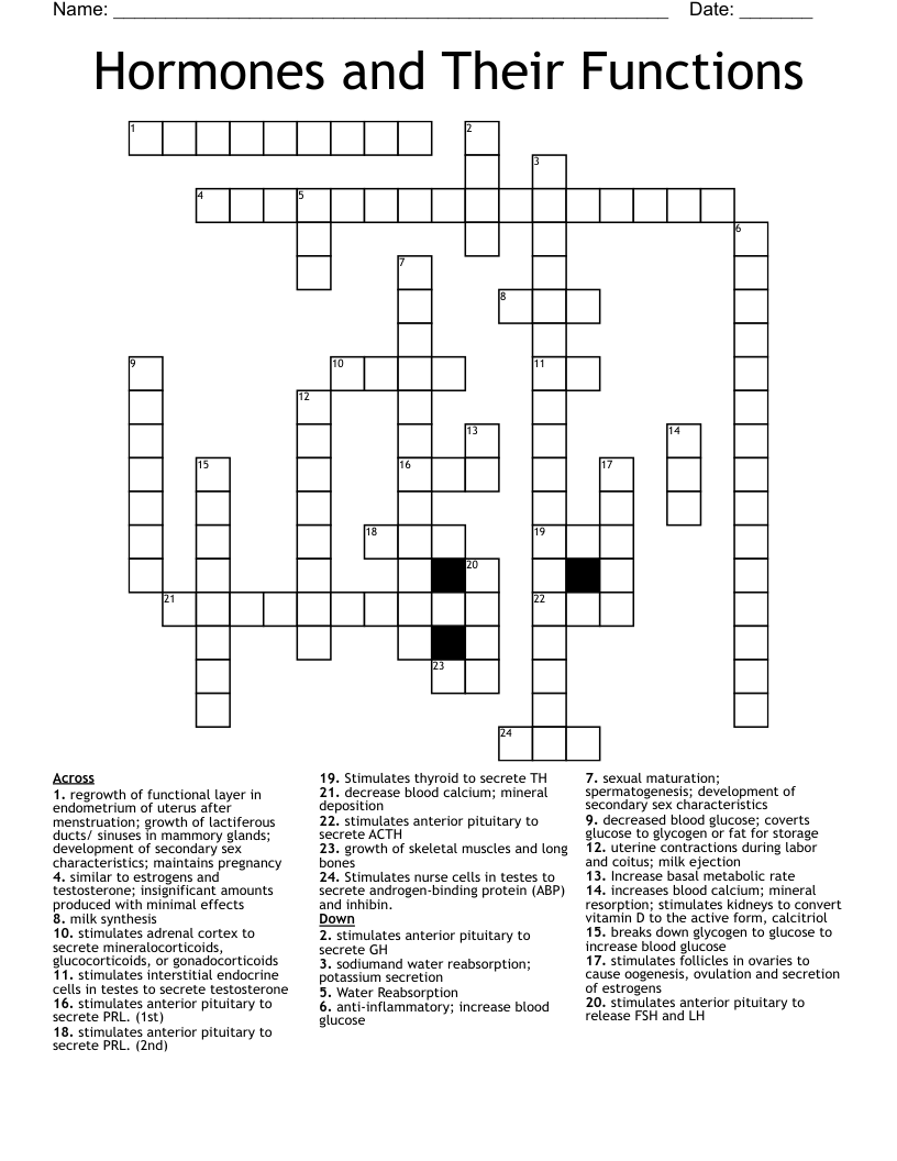Hormones and Their Functions Crossword
