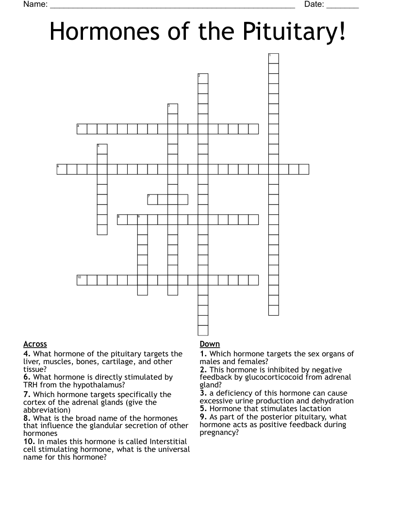 Hormones of the Pituitary! Crossword