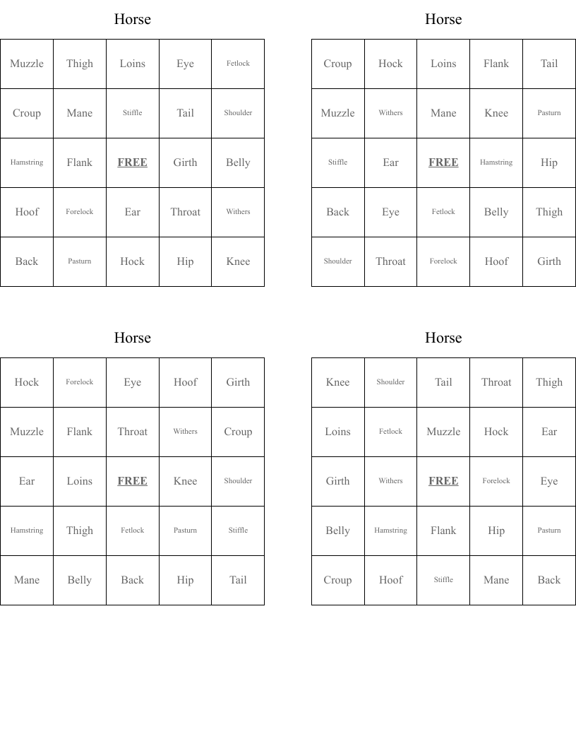 Horse Bingo Cards