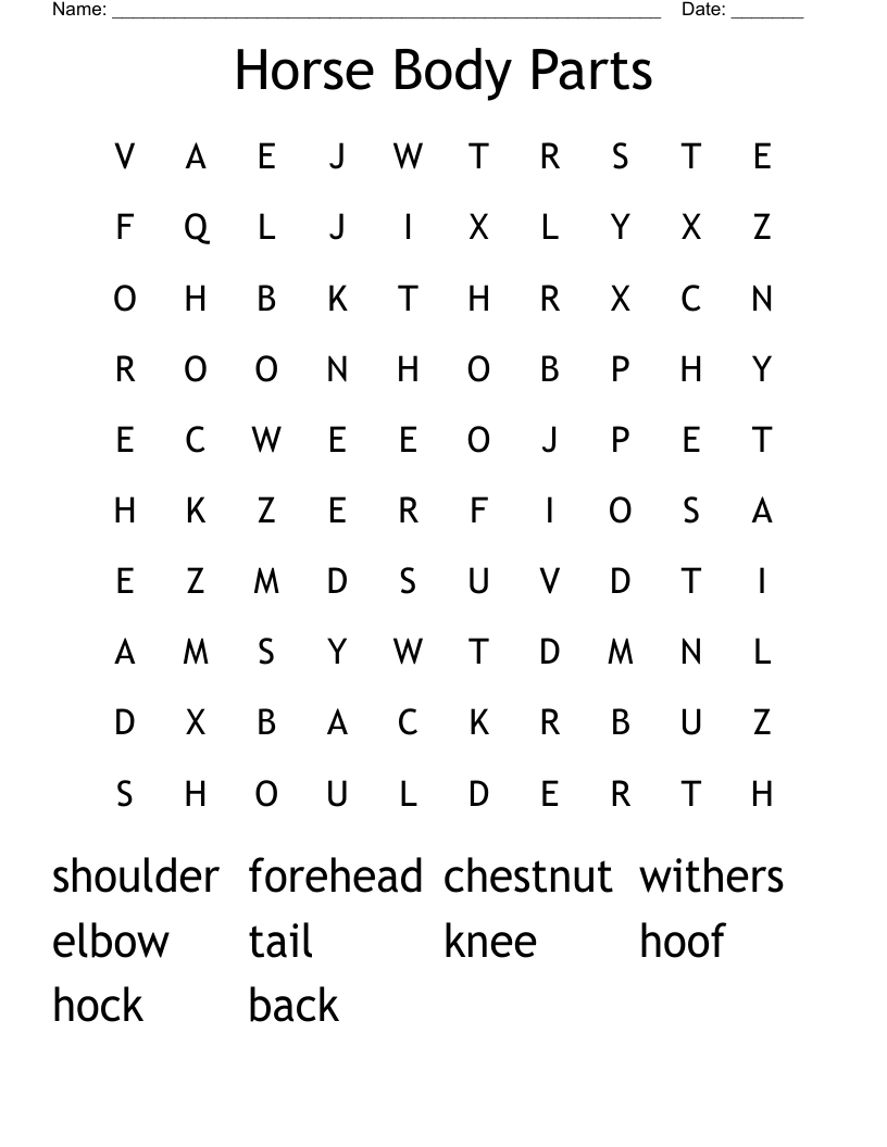 Horse Body Parts Word Search