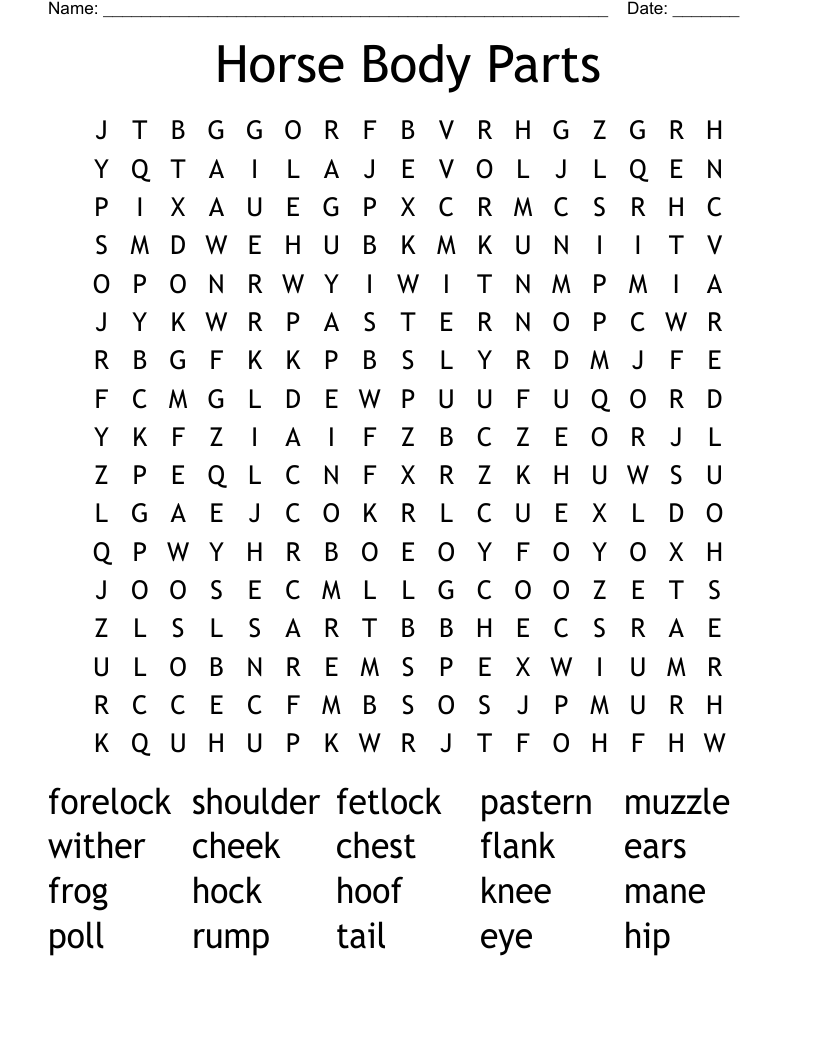 Horse Body Parts Word Search