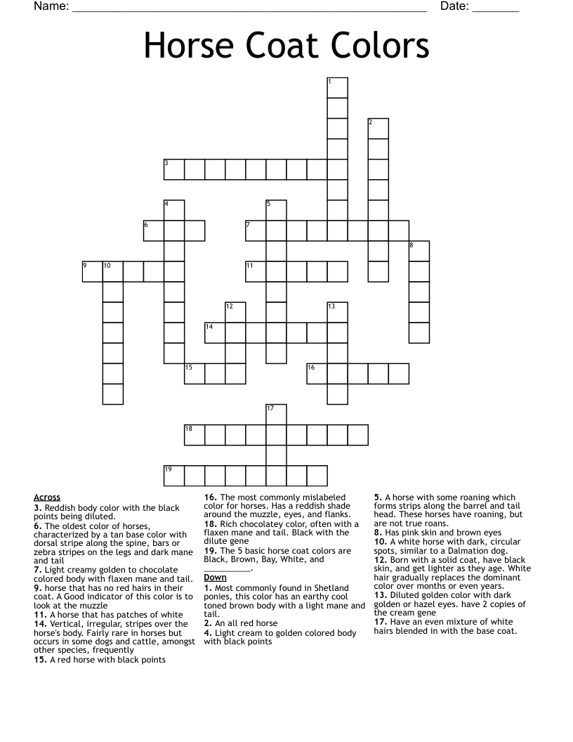 Horse Coat Colors Crossword