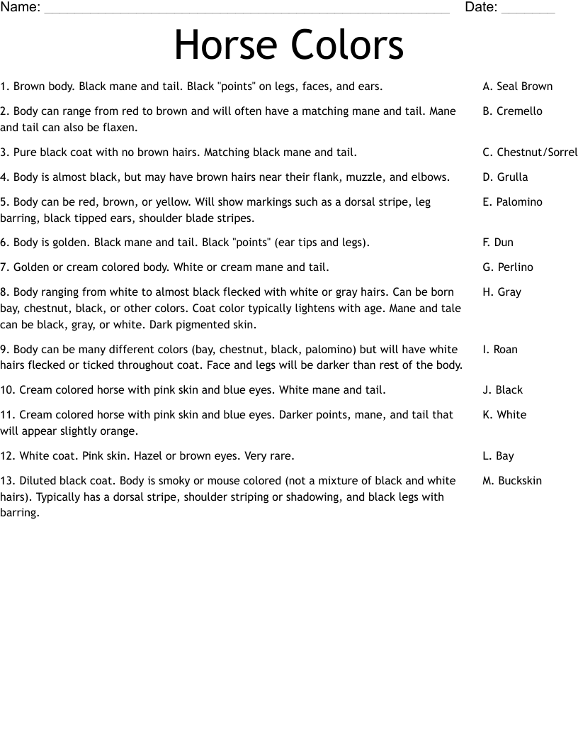 Horse Colors Worksheet