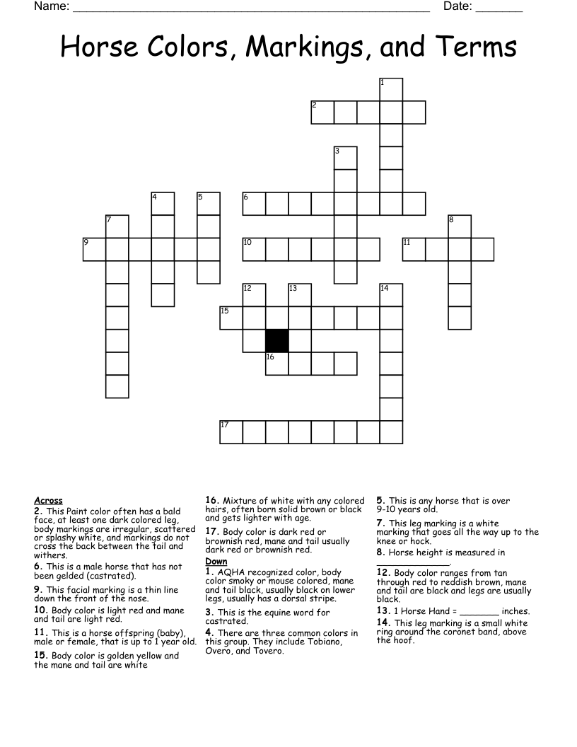 Horse Colors, Markings, and Terms Crossword